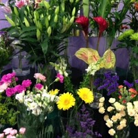 The Flower Shop Leeds 1093582 Image 4